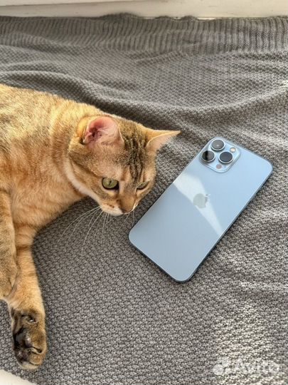 iPhone 13 Pro Max, 128 ГБ