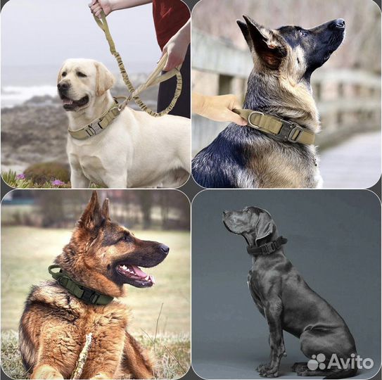 Ошейник для собак средних и крупных пород