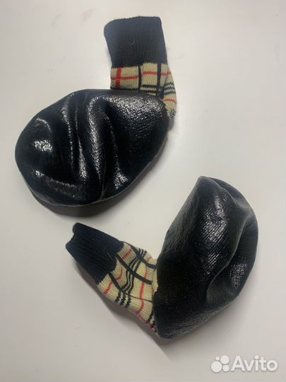 Носки для собак