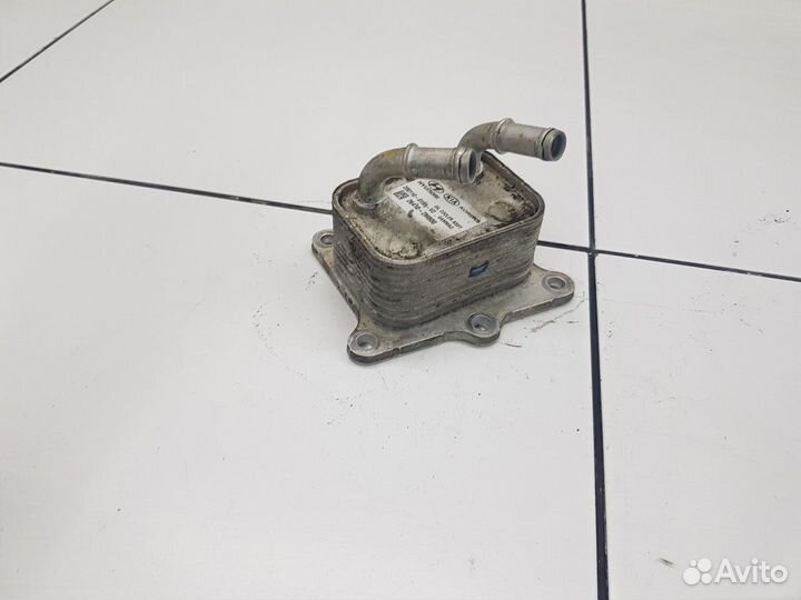 Радиатор масляный (Kia K5 III)