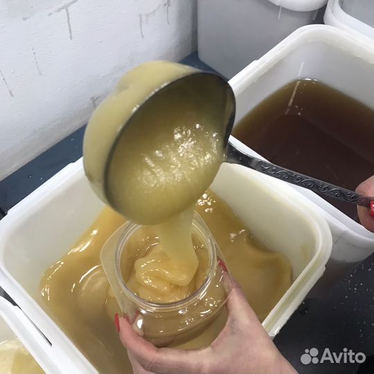 Мёд алтайский оптом
