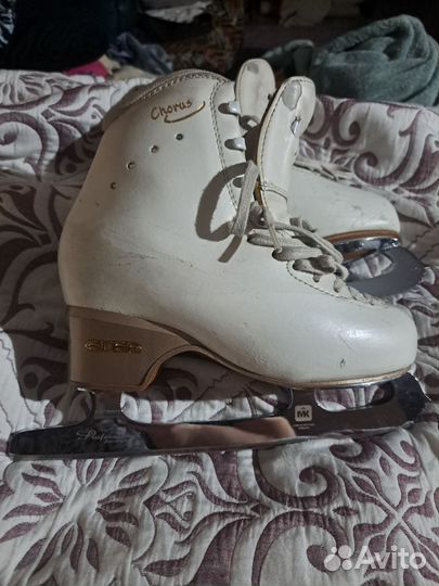 Фигурные коньки edea chorus 230