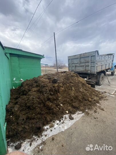 Навоз