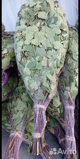 Веники березовые для бани опт доставка банные