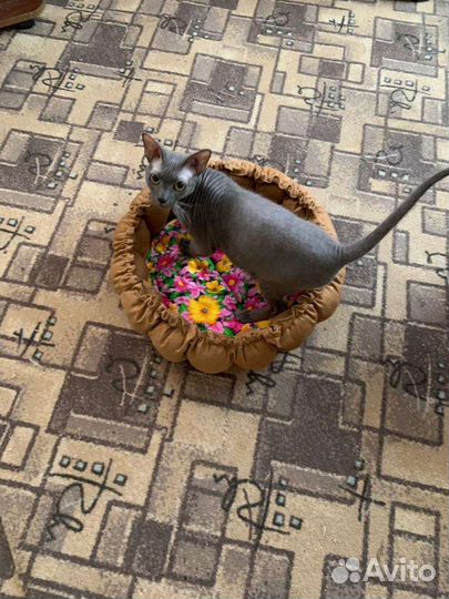 Лежак для кота/маленькой собаки