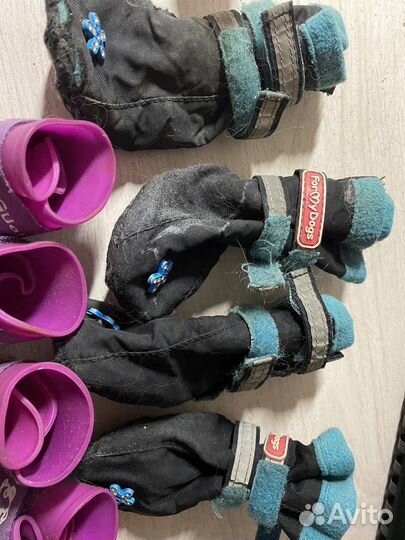 Обувь для собаки