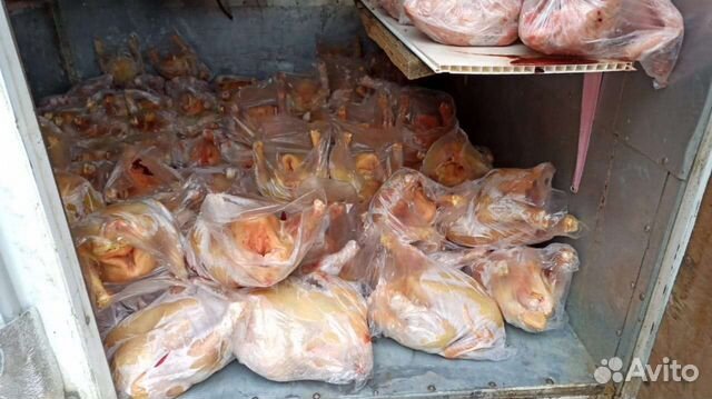 Куры халяль