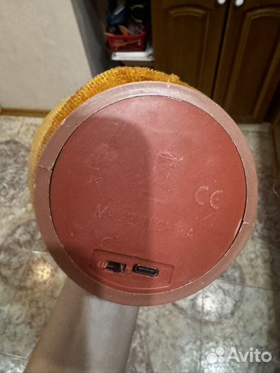 Танцующий кактус