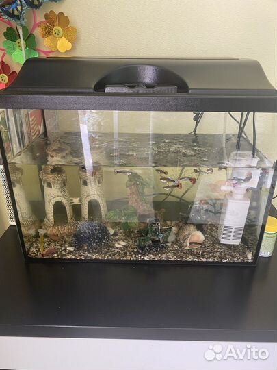Аквариум