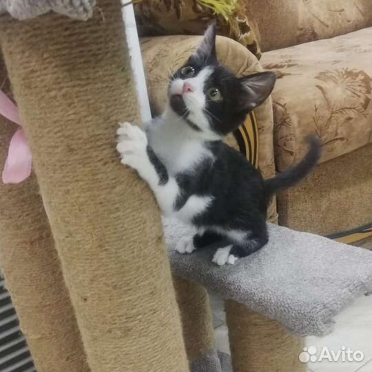 Малышка ждет маму