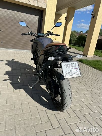 Regulmoto Alien monster 300