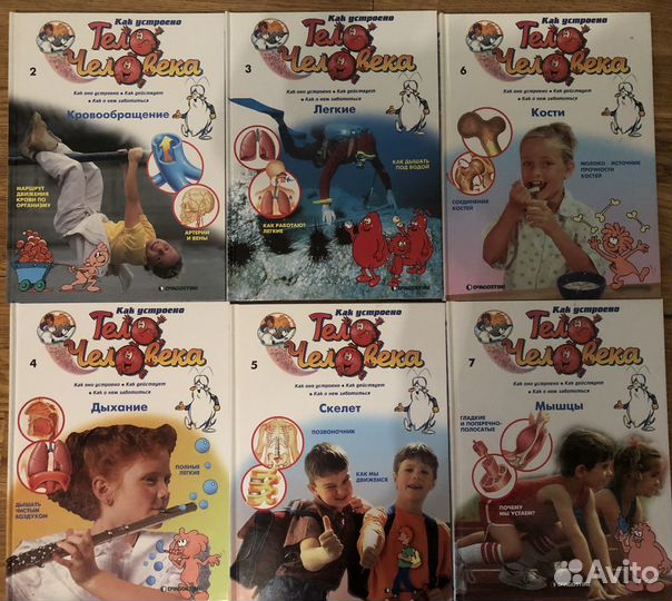 Детская энциклопедия анатомия человека