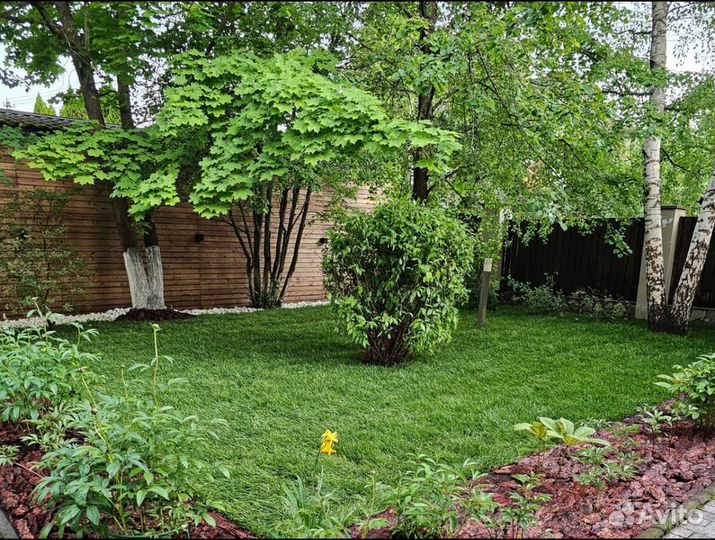 Рулонный газон