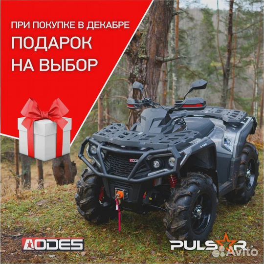 Квадроцикл Aodes pathcross Max 1000 Mud Pro серый