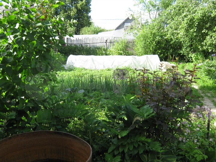 Дом 20 м² на участке 16 сот.