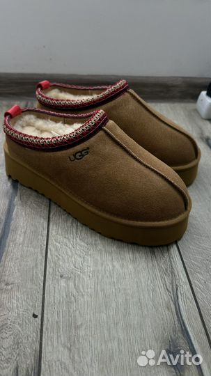 Ugg tazz 40,41