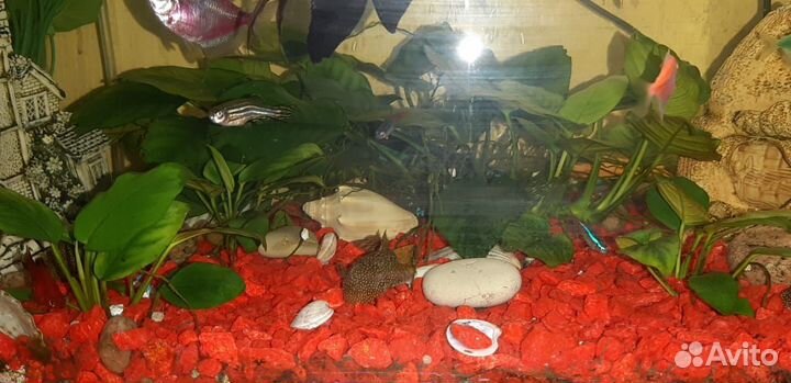 Украшение для аквариума