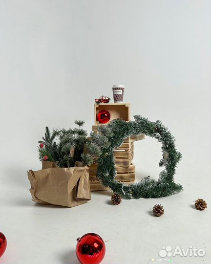 Новогодняя фотосессия в студии