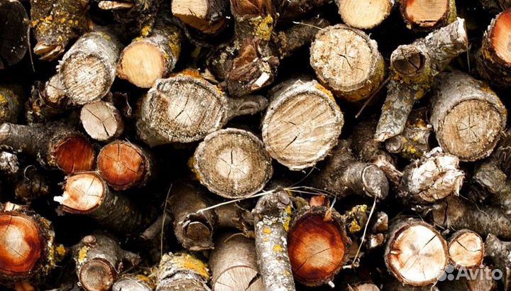 Дрова доставим