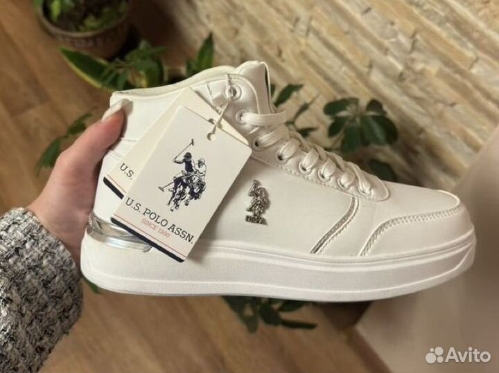 Кеды us polo assn