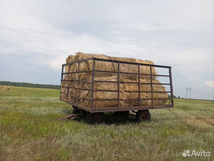 Сено в руллонах