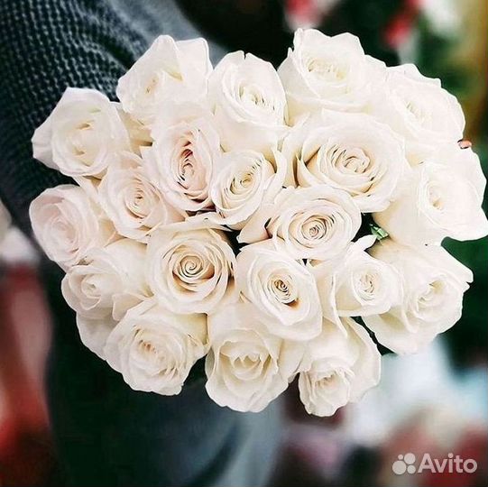 Розы гиганты 140 150 160 170 180 200