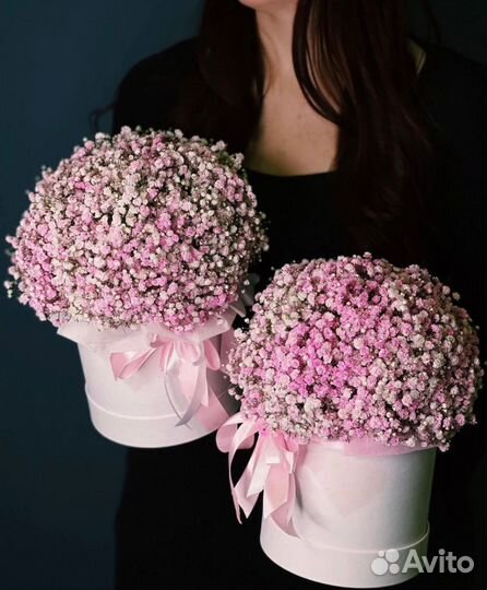 Композиции из Гипсофилы (доставка)