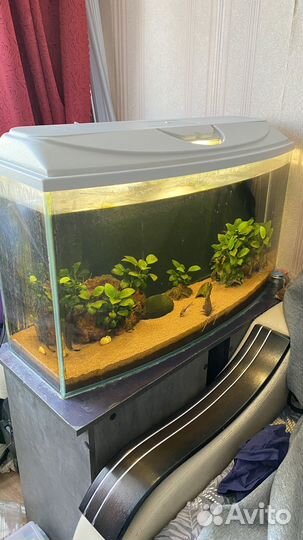 Аквариум