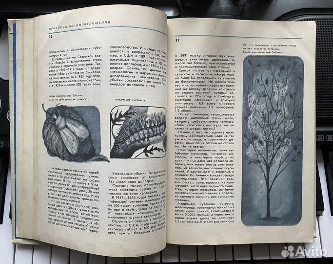 Детская книга о насекомых времён СССР