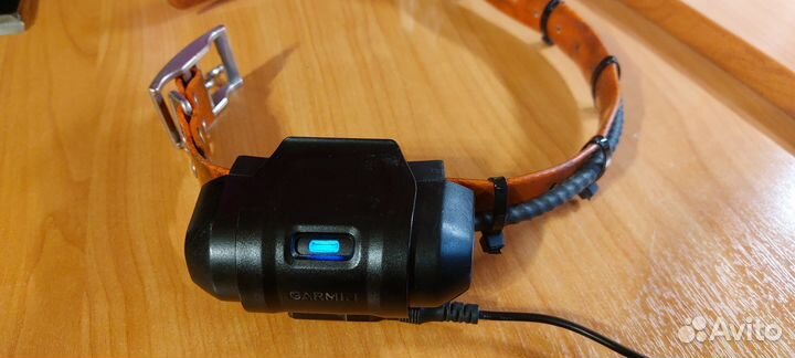 Garmin astro 320 с ошейником DC-40