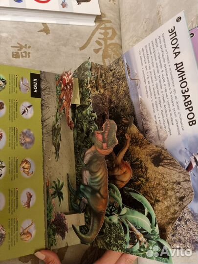 3д энциклопедия