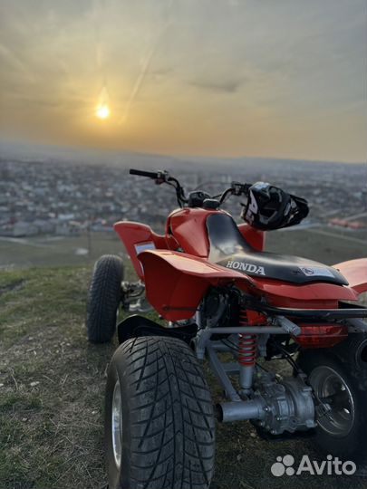 Honda trx 250