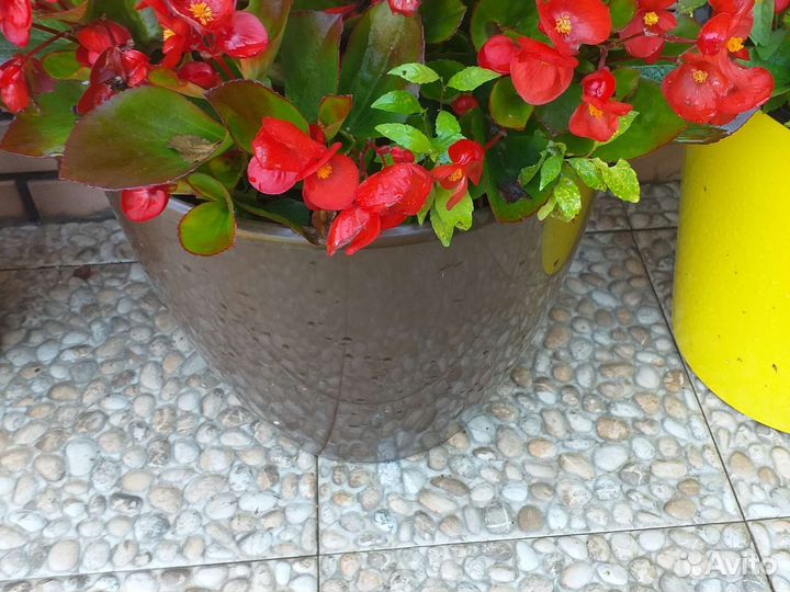 Уличные вазоны- кашпо для цветов