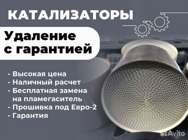 Удаление катализатора бесплатно/ чип тюнинг евро 1