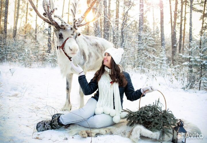 Новогодняя Фотосессия Фотопроекты Все включено