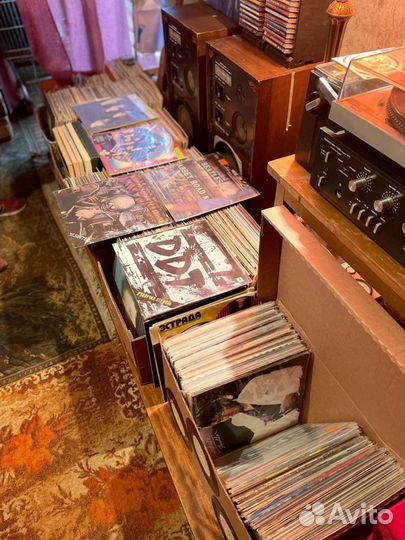 Виниловые пластинки