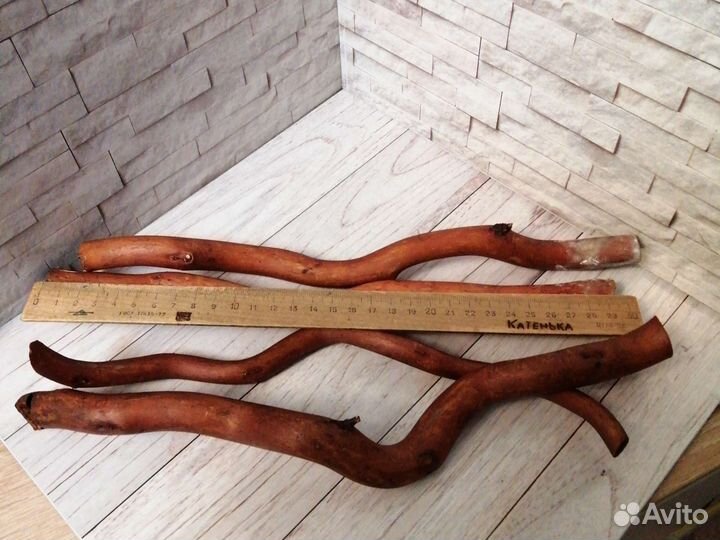 Корилус ветки