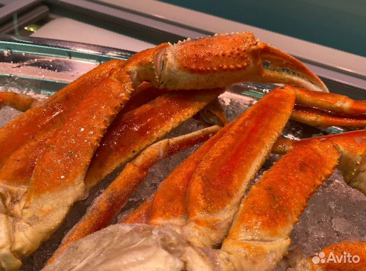 Клешни краба стригуна оптом