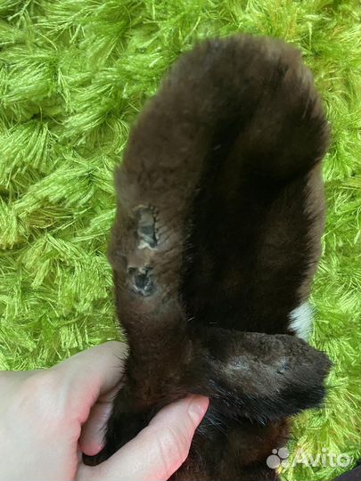 Варежки женские из меха норки