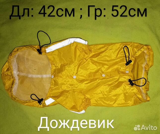 Одежда и обувь для собак