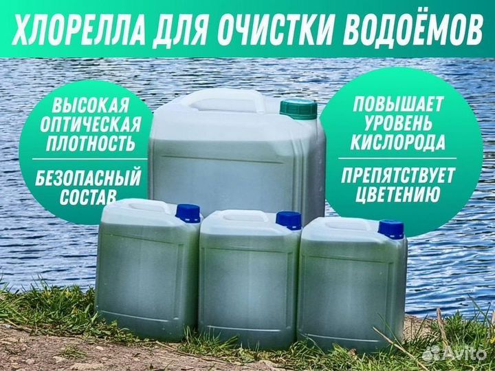 Хлорелла суспензия