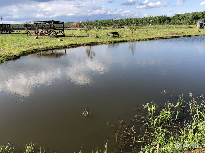 Аренда беседки у воды