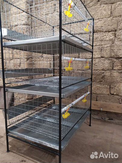 Клетки для бройлеров