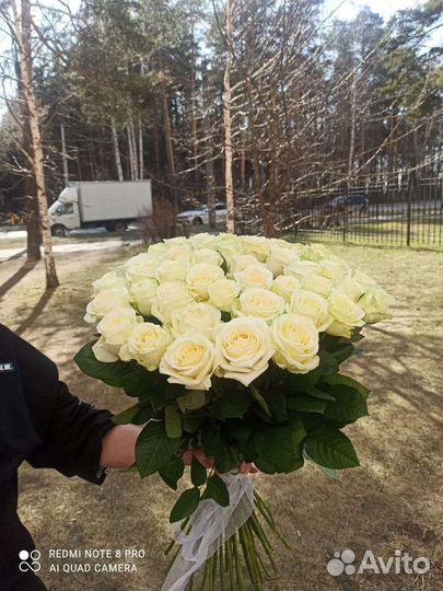 Роза Россия разные цвета