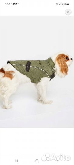 Жилетка для животных 35 см новая
