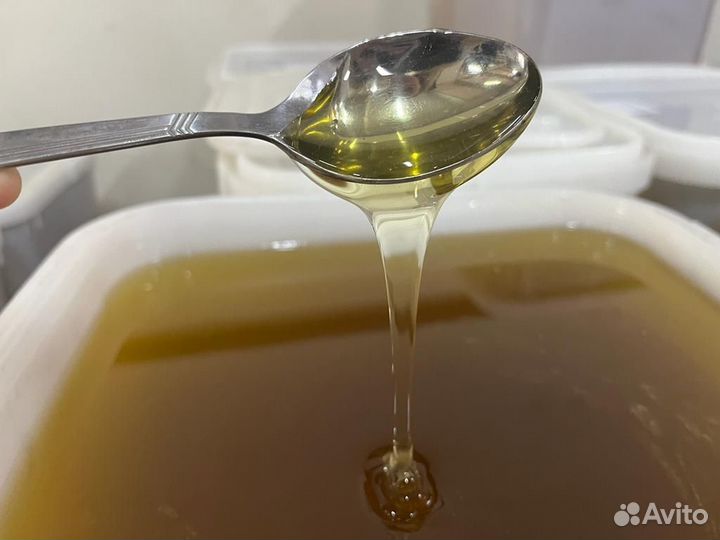 Мед Разнотравье светлое опт