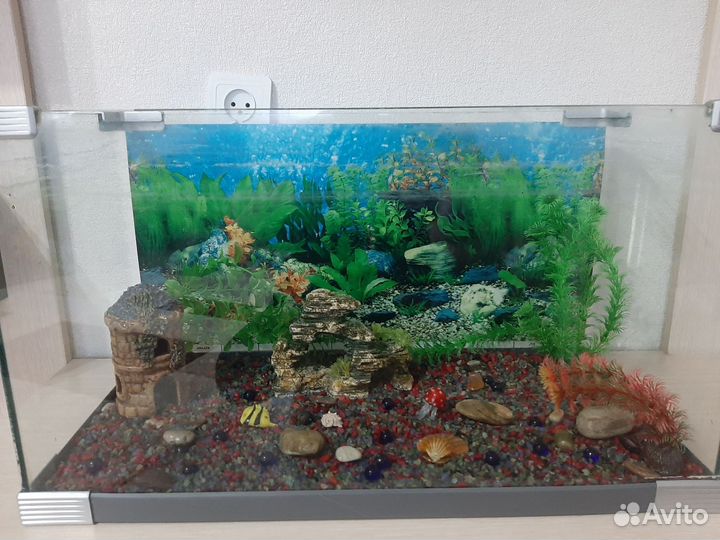 Аквариум