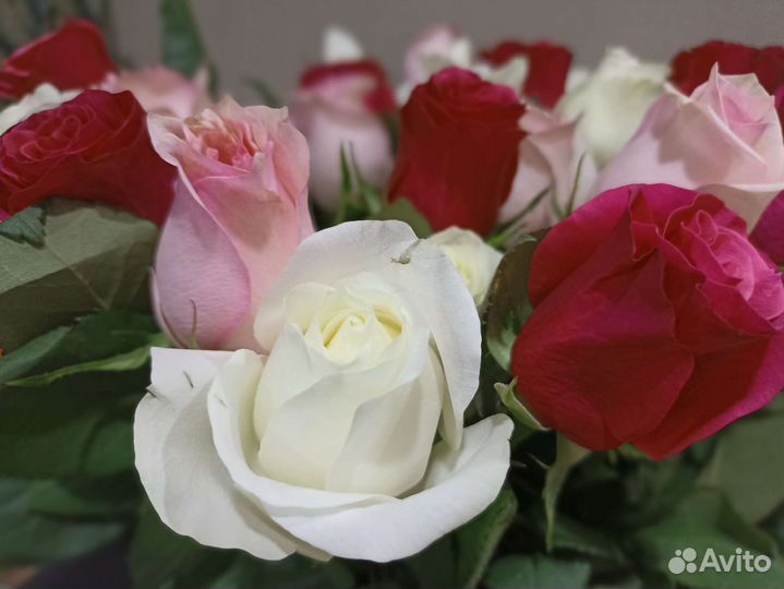 Репетитор начальных классов