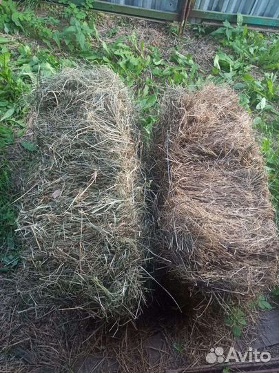 Сено в тюках