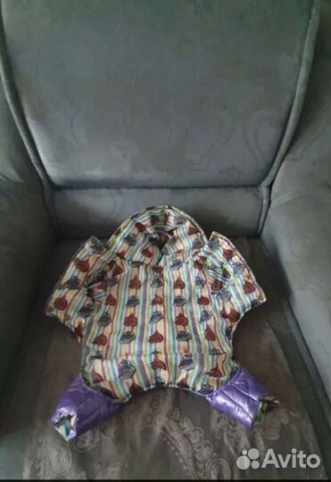 Зимний комбинезон на чихуахуа